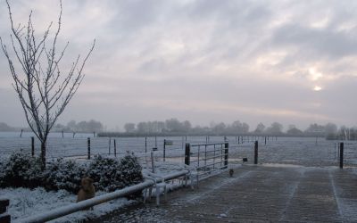 IMG_0949.JPG